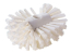 Image for 01503