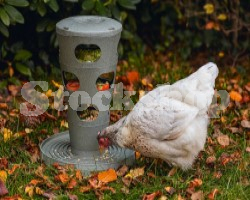 Poultry & Pet
