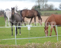 Electric Fencing