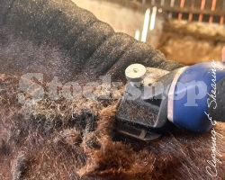 Clipping & Shearing