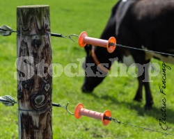 Electric Fencing