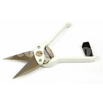PROFESSIONAL SERRATED FOOTROT SHEARS