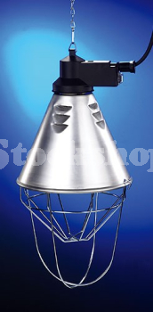 LAMP HOLDER C/W ECONOMY SWITCH LAMP HOLDER C/W ECONOMY SWITCH