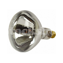 250W SCREW TYPE WARMING BULB 250W SCREW TYPE WARMING BULB