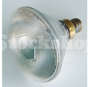 100W PAR38 HARD GLASS CLEAR