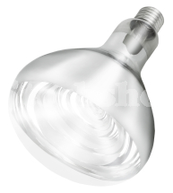 STOCKSHOP HEATLAMP BULB 250W CLEAR (E27) STOCKSHOP HEATLAMP BULB 250W CLEAR (E27)