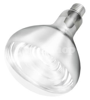 STOCKSHOP HEATLAMP BULB 250W CLEAR (E27) STOCKSHOP HEATLAMP BULB 250W CLEAR (E27)