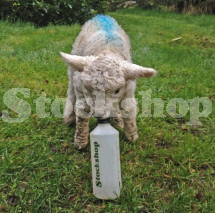 500ML SCREW TOP LAMB BOTTLE 500ML SCREW TOP LAMB BOTTLE