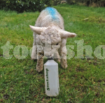 500ML SCREW TOP LAMB BOTTLE (BOTTLE ONLY)