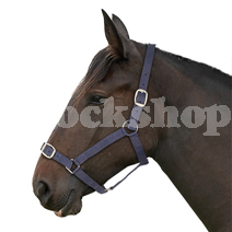 ESSENTIALS NAVY HEADCOLLAR & LEAD ROPE SET FOAL ESSENTIALS NAVY HEADCOLLAR & LEAD ROPE SET FOAL