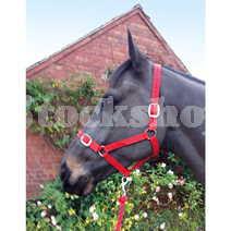 ESSENTIALS RED HEADCOLLAR & LEAD ROPE SET FULL ESSENTIALS RED HEADCOLLAR & LEAD ROPE SET FULL