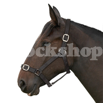 ESSENTIALS BLACK HEADCOLLAR & LEAD ROPE SET COB ESSENTIALS BLACK HEADCOLLAR & LEAD ROPE SET COB