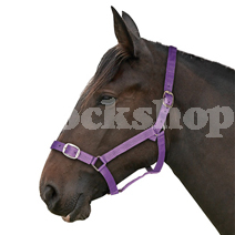 ESSENTIALS PURPLE HEADCOLLAR & LEADROPE SET COB