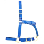 PONY LINED HEADCOLLAR BLUE