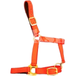 COB LINED HEADCOLLAR RED