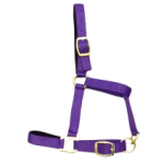 COB LINED HEADCOLLAR PURPLE