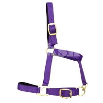 FULL LINED HEADCOLLAR PURPLE FULL LINED HEADCOLLAR PURPLE