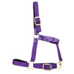 FULL LINED HEADCOLLAR PURPLE