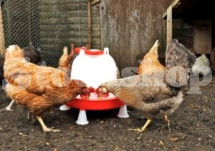 BEC COMBO DRINKER 7L BEC COMBO DRINKER 7L