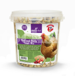 NATURES GRUB FRUIT & BERRY TREAT MIX 600G TUB