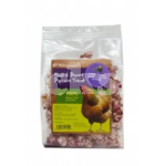 NATURES GRUB POPCORN TREAT WITH FRUIT & BERRIES 20G