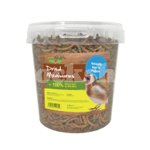 LOVE WILDLIFE DRIED MEALWORMS 100G TUB