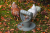 Image 6 Image 6
