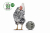 Image 5 Image 5