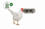 BEEZTEES CHICKEN FEEDER