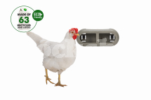 BEEZTEES CHICKEN FEEDER BEEZTEES CHICKEN FEEDER