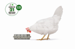 BEEZTEES CHICKEN SNACK ROLLER