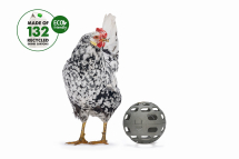 BEEZTEES CHICKEN SNACKBALL BEEZTEES CHICKEN SNACKBALL