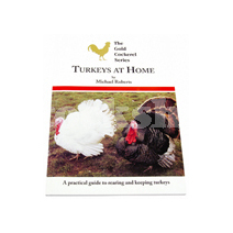 TURKEYS AT HOME TURKEYS AT HOME