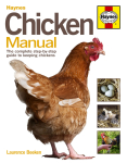 CHICKEN MANUAL