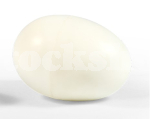 PLASTIC NEST EGG