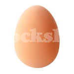 RUBBER NEST EGG