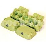 PRESSED PULP 6 EGG BOX-GREEN (228)