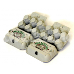 PRESSED PULP 6 EGG BOX- FREE FREE RANGE PRINT-MED-GREY(224)