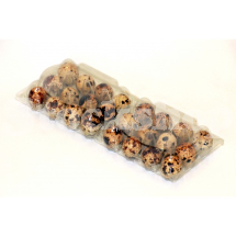 12 QUAIL EGG BOX (25PK) 12 QUAIL EGG BOX (25PK)
