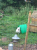 Image - 2 Image - 2