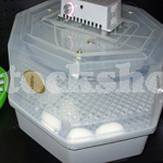 MAXI INCUBATOR 60Egg