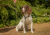 Image 2 Image 2