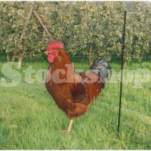 POULTRY NETTING GREEN 50M