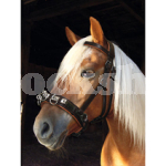 LUNGING CAVESSON FULL LUNGING CAVESSON FULL