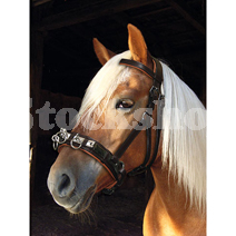 LUNGING CAVESSON FULL LUNGING CAVESSON FULL