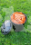 Image 3 Image 3