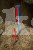 Image 2 Image 2