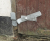 Image 3 Image 3