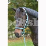 SOFTRA HEADCOLLAR COB ANTH/IB