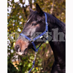 CLASSIC HEADCOLLAR PONY BLUE CLASSIC HEADCOLLAR PONY BLUE